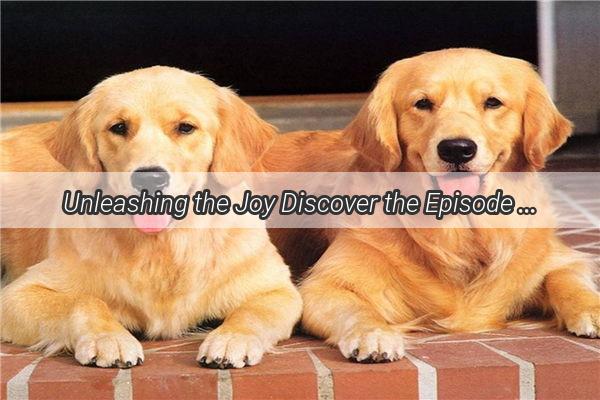 Unleashing the Joy Discover the Episode Where the Liu Family Welcomes a Furry Friend